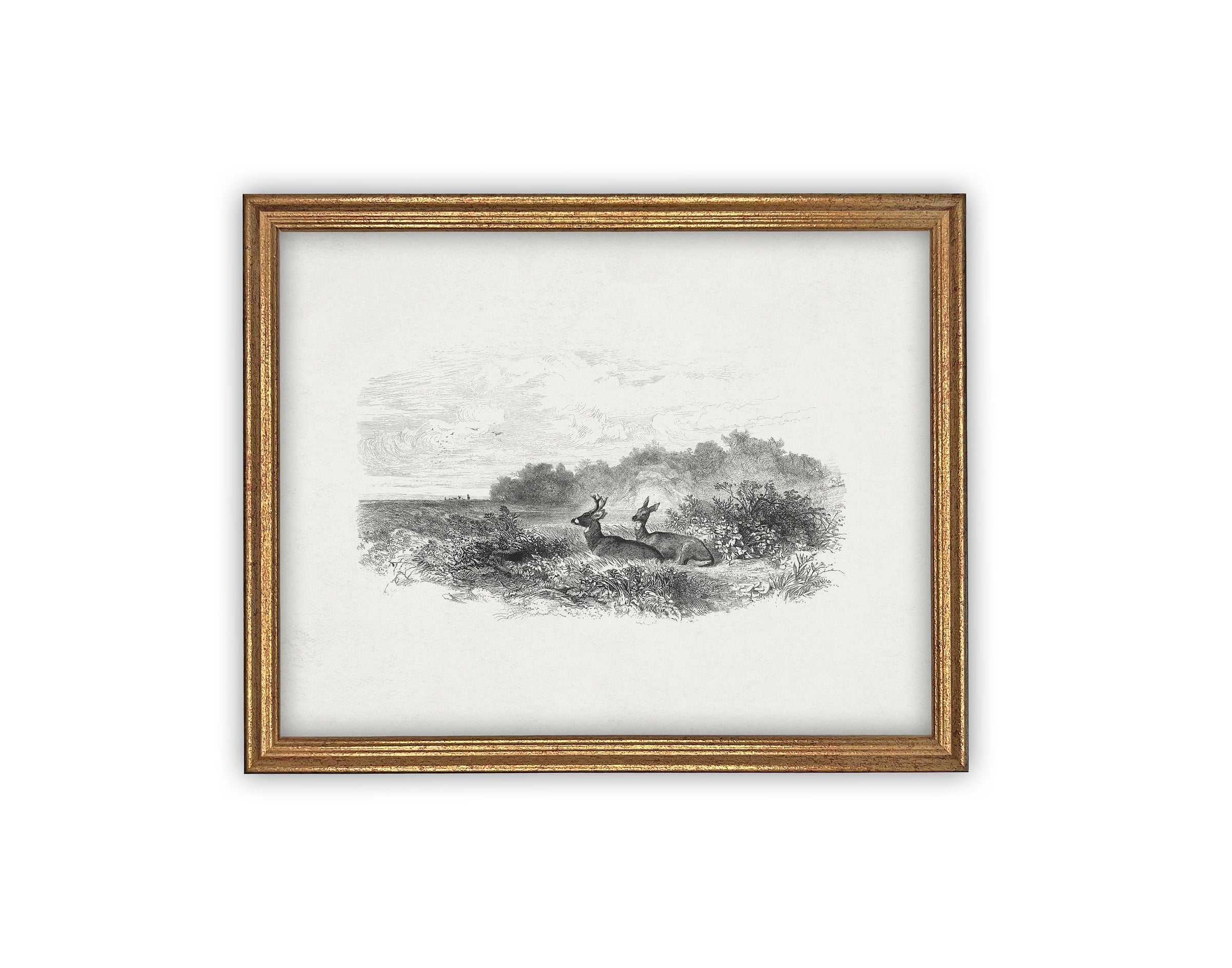 READY to SHIP 11X14 Vintage Framed Canvas Art #LAN-226
