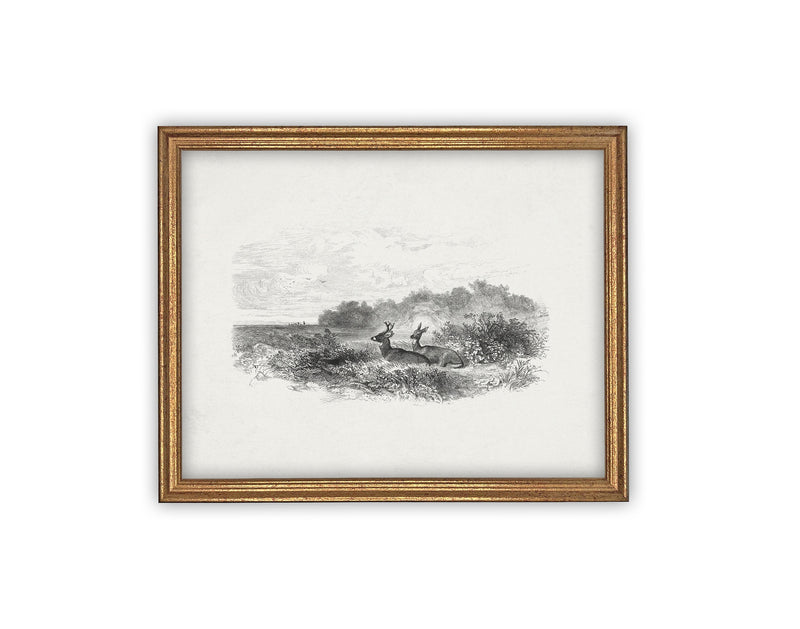 READY to SHIP 11X14 Vintage Framed Canvas Art #LAN-226