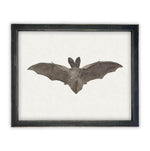 Vintage Framed Canvas Art Bat #H-101