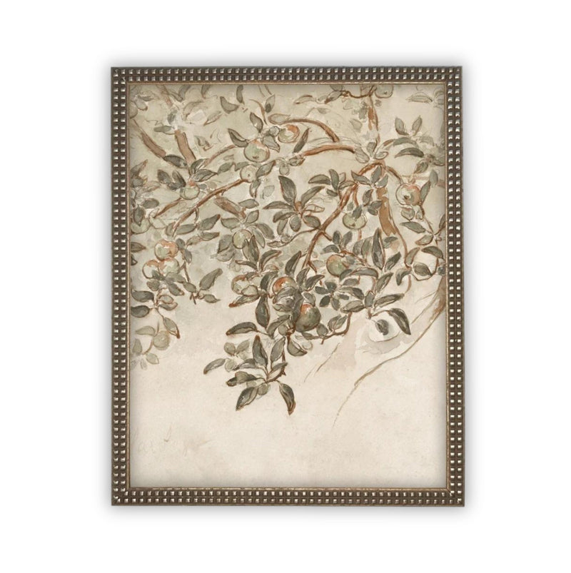 READY to SHIP 16X20 Vintage Framed Canvas Art // Framed Vintage Print // Botanical Sketch // Farmhouse print //#BOT-146
