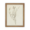 READY TO SHIP 16X20 Vintage Framed Botanical Canvas Print: Farmhouse Art