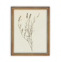READY TO SHIP 16X20 Vintage Framed Botanical Canvas Print: Farmhouse Art