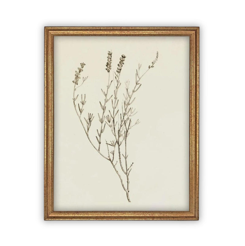 READY TO SHIP 16X20 Vintage Framed Botanical Canvas Print: Farmhouse Art