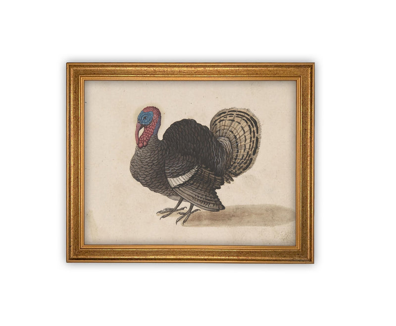 Vintage Framed Canvas Art // Framed Vintage Print // Vintage Painting // Turkey Art // Kids Room or Nursery print //#A-172