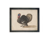 Vintage Framed Canvas Art // Framed Vintage Print // Vintage Painting // Turkey Art // Kids Room or Nursery print //#A-172