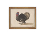 Vintage Framed Canvas Art // Framed Vintage Print // Vintage Painting // Turkey Art // Kids Room or Nursery print //#A-172