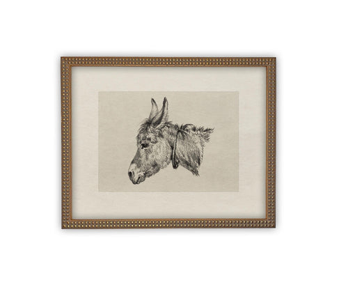 Vintage Framed Canvas Art // Framed Vintage Print // Vintage Painting // Vintage Horse Sketch Art// Farmhouse print //#A-177