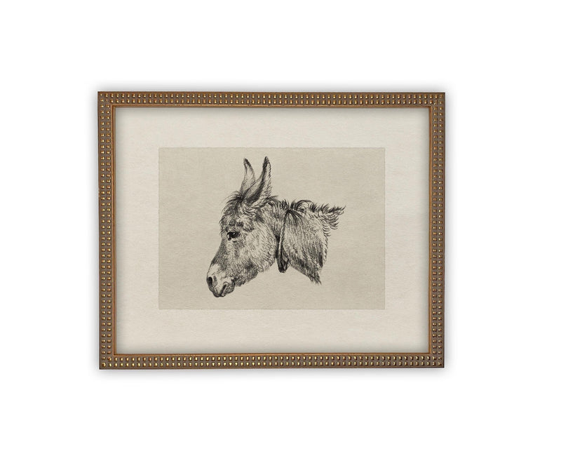 Vintage Framed Canvas Art // Framed Vintage Print // Vintage Painting // Vintage Horse Sketch Art// Farmhouse print //#A-177