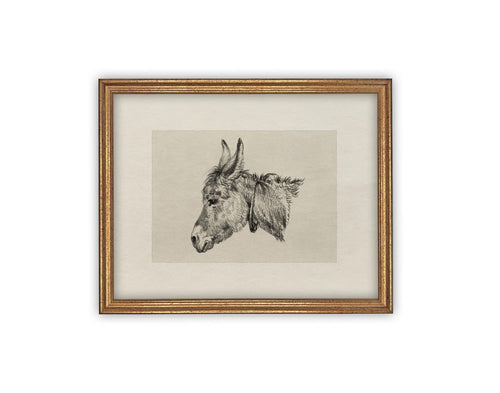 Vintage Framed Canvas Art // Framed Vintage Print // Vintage Painting // Vintage Horse Sketch Art// Farmhouse print //#A-177