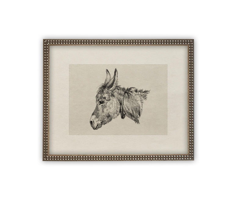 Vintage Framed Canvas Art // Framed Vintage Print // Vintage Painting // Vintage Horse Sketch Art// Farmhouse print //#A-177