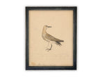 Vintage Framed Canvas Art // Framed Vintage Print // Vintage Painting // Bird Art // Girls Room or Nursery print //#A-182