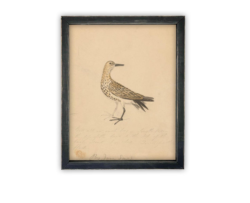 Vintage Framed Canvas Art // Framed Vintage Print // Vintage Painting // Bird Art // Girls Room or Nursery print //#A-182