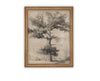 READY to SHIP 11X14 Vintage Framed Canvas Art #BOT-158