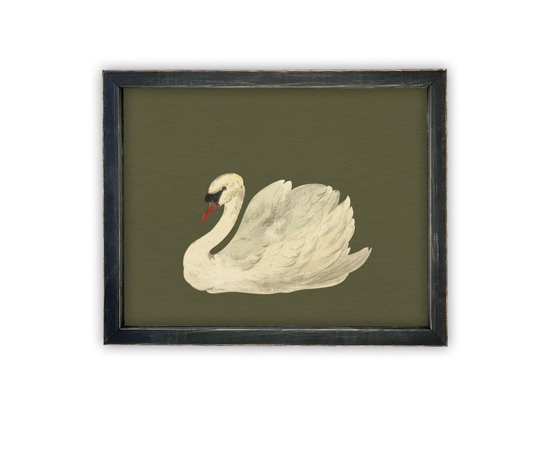 Vintage Framed Canvas Art // Framed Vintage Print // Vintage Painting // White Swan Art // Girls Room or Nursery print //#A-180