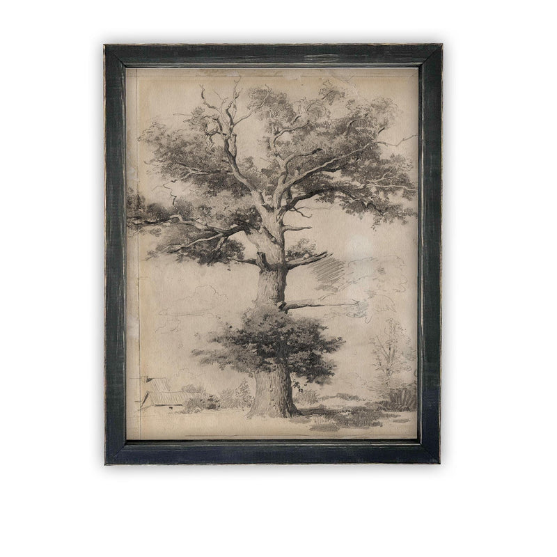 READY to SHIP 11X14 Vintage Framed Canvas Art // Framed Vintage Print // Vintage Painting // Botanical Sketch // Farmhouse //#BOT-158