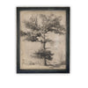 READY to SHIP 11X14 Vintage Framed Canvas Art #BOT-158