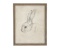 Vintage Framed Bunny Sketch Art: Easter Rabbit Canvas Print