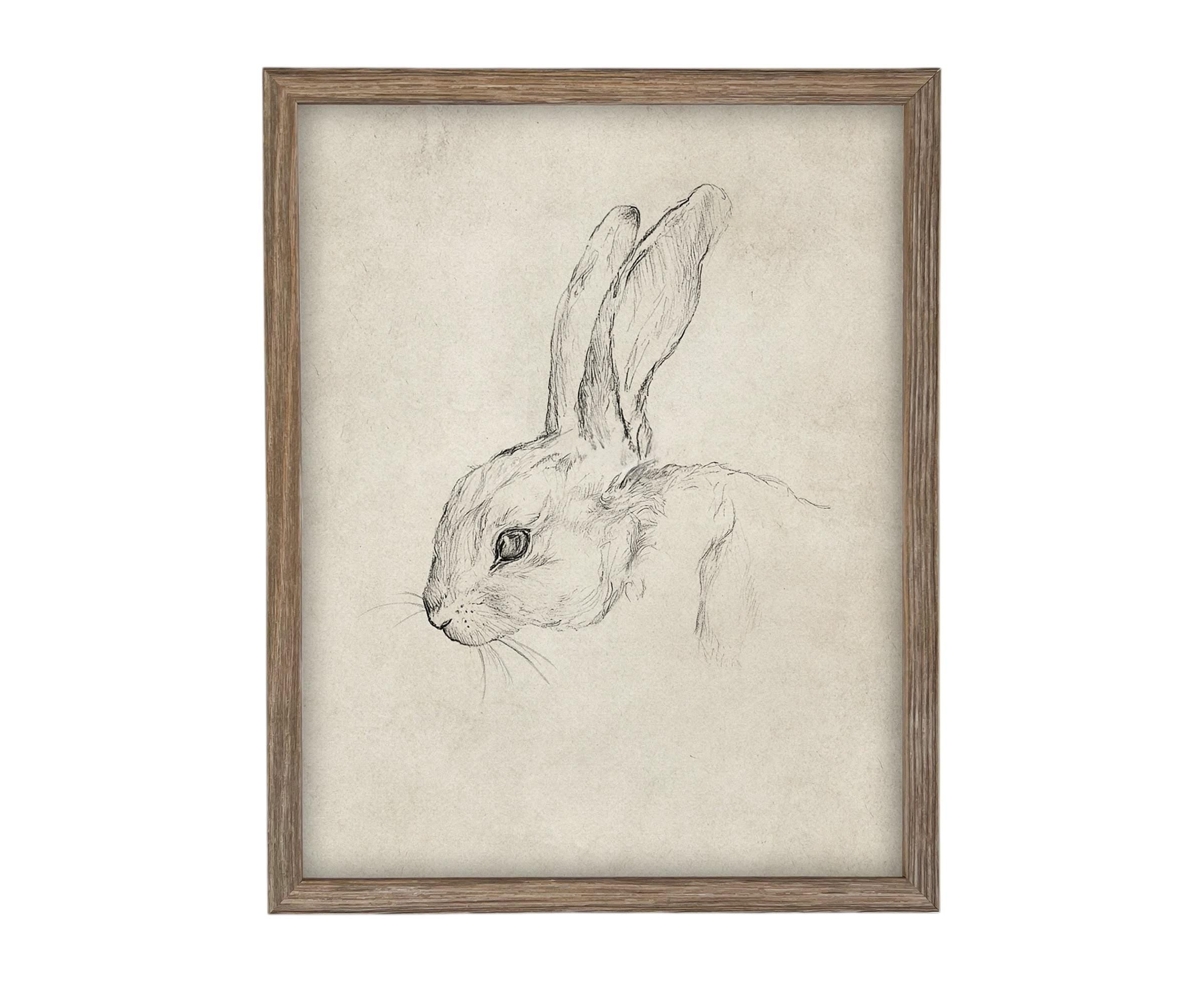 Vintage Framed Bunny Sketch Art: Easter Rabbit Canvas Print