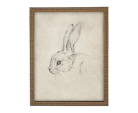 Vintage Framed Bunny Sketch Art: Easter Rabbit Canvas Print