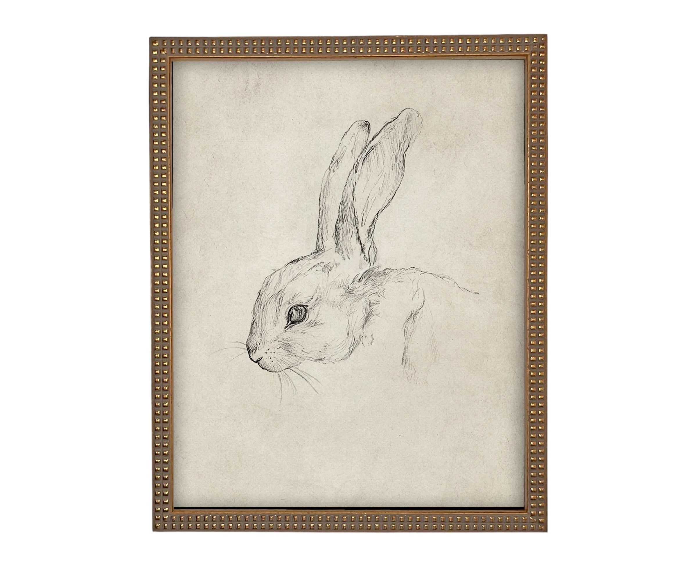 Vintage Framed Bunny Sketch Art: Easter Rabbit Canvas Print