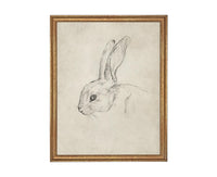 Vintage Framed Bunny Sketch Art: Easter Rabbit Canvas Print