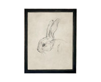Vintage Framed Bunny Sketch Art: Easter Rabbit Canvas Print