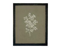 Vintage Botanical Sketch: Framed Canvas Print, Farmhouse Art
