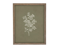 Vintage Botanical Sketch: Framed Canvas Print, Farmhouse Art