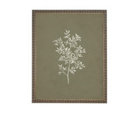 Vintage Botanical Sketch: Framed Canvas Print, Farmhouse Art