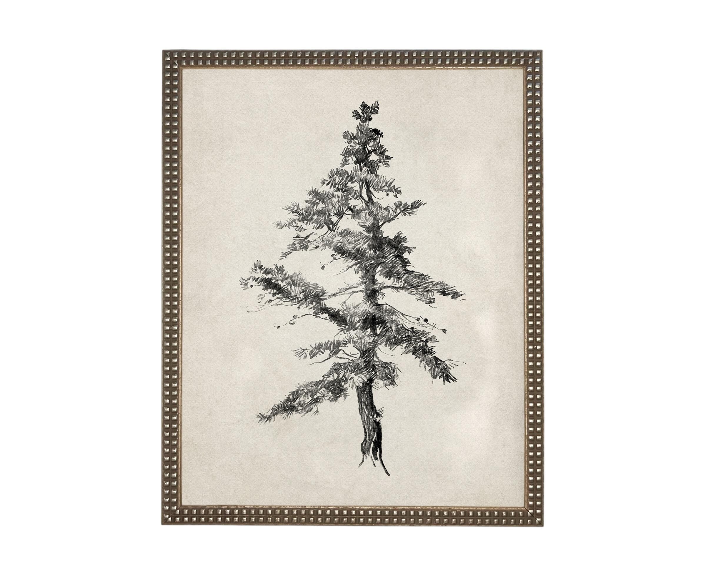 READY TO SHIP 16x20 Framed Tree Sketch: Black and White Canvas Art Print
