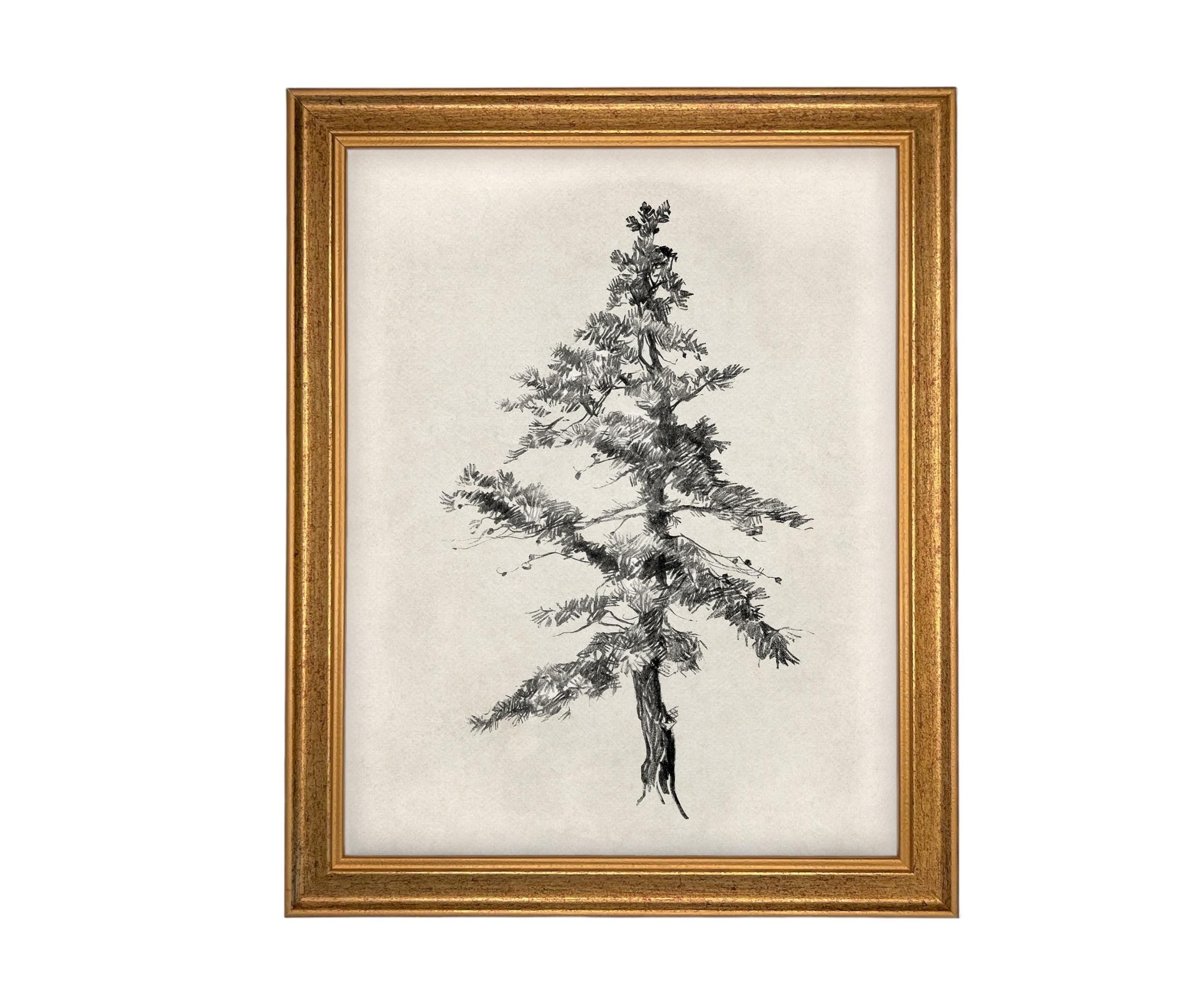 READY TO SHIP 16x20 Framed Tree Sketch: Black and White Canvas Art Print