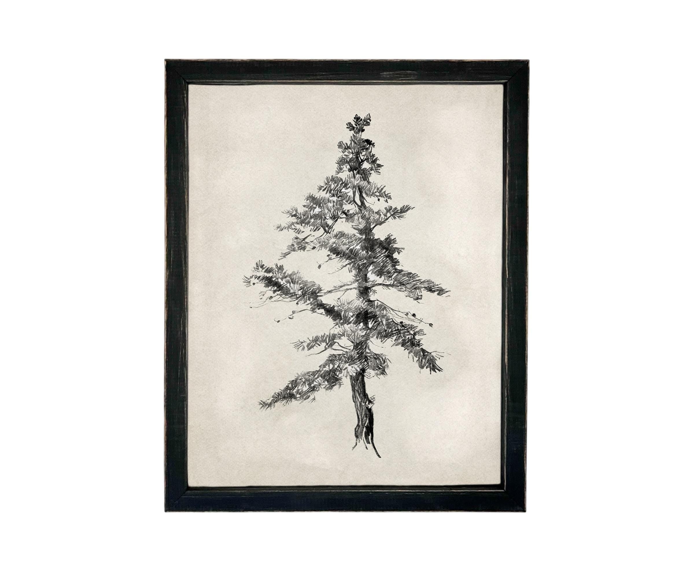 Vintage Framed Tree Sketch: Black and White Canvas Art Print