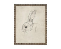 Vintage Framed Bunny Sketch Art: Easter Rabbit Canvas Print