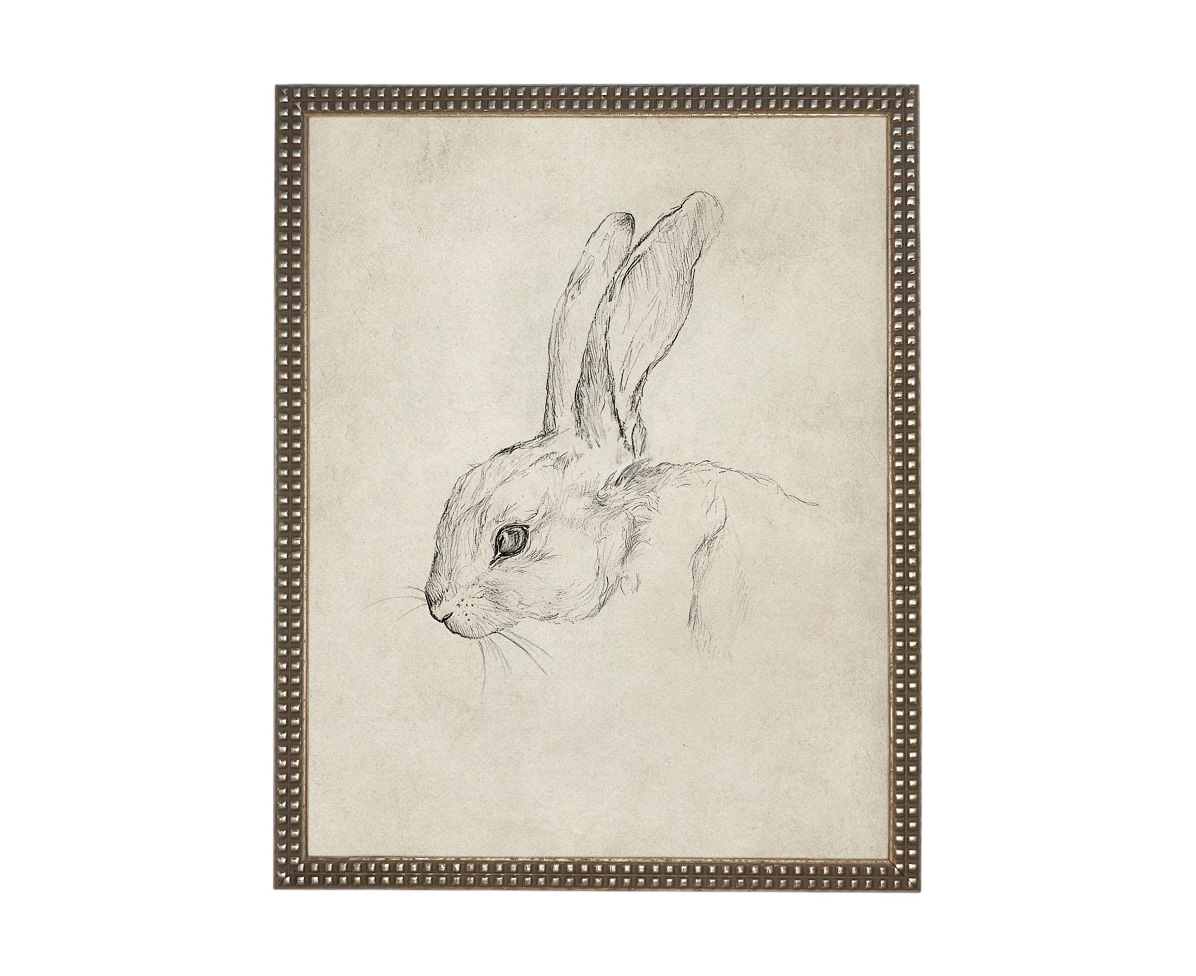 Vintage Framed Bunny Sketch Art: Easter Rabbit Canvas Print