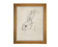 Vintage Framed Bunny Sketch Art: Easter Rabbit Canvas Print