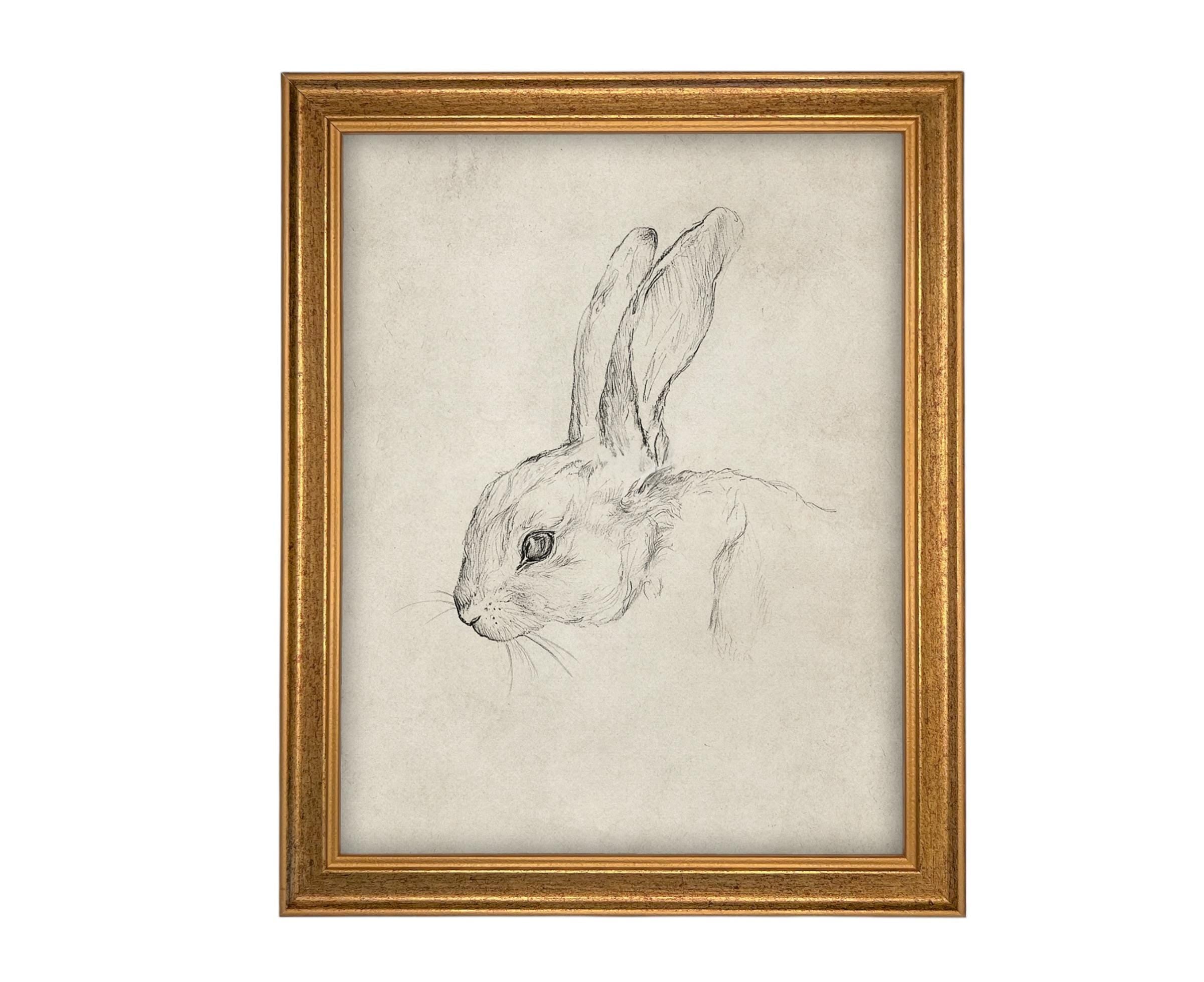 Vintage Framed Bunny Sketch Art: Easter Rabbit Canvas Print
