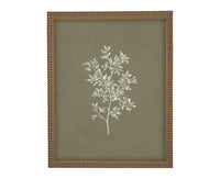Vintage Botanical Sketch: Framed Canvas Print, Farmhouse Art