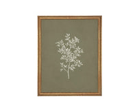 Vintage Botanical Sketch: Framed Canvas Print, Farmhouse Art