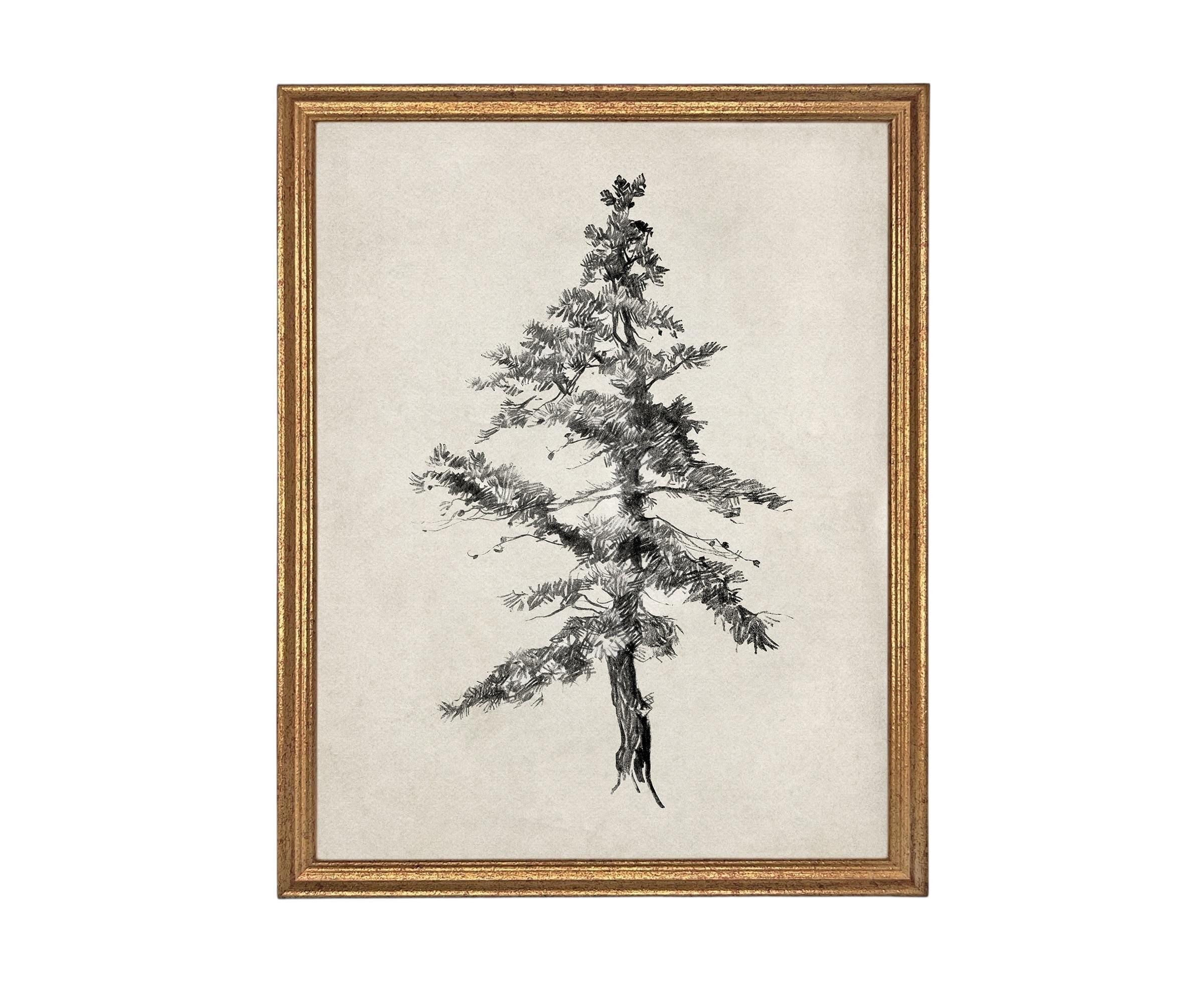 READY TO SHIP 16x20 Framed Tree Sketch: Black and White Canvas Art Print