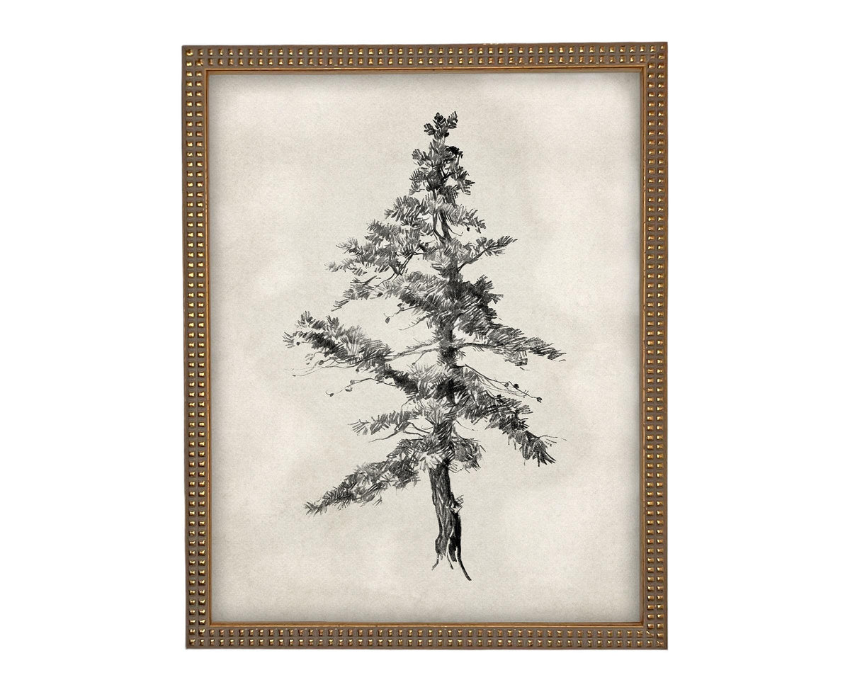 READY TO SHIP 16x20 Framed Tree Sketch: Black and White Canvas Art Print