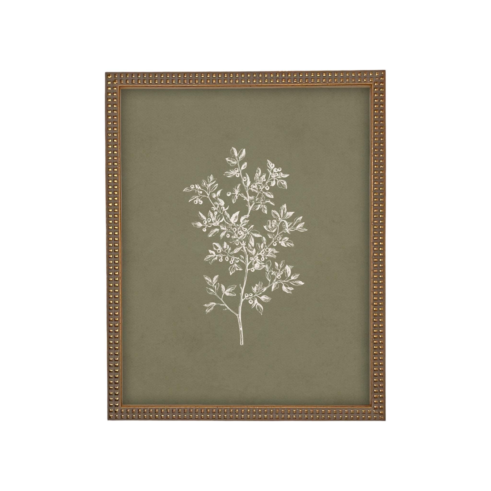 Framed Vintage Botanical Sketch Print: Farmhouse Canvas Art #ST-169