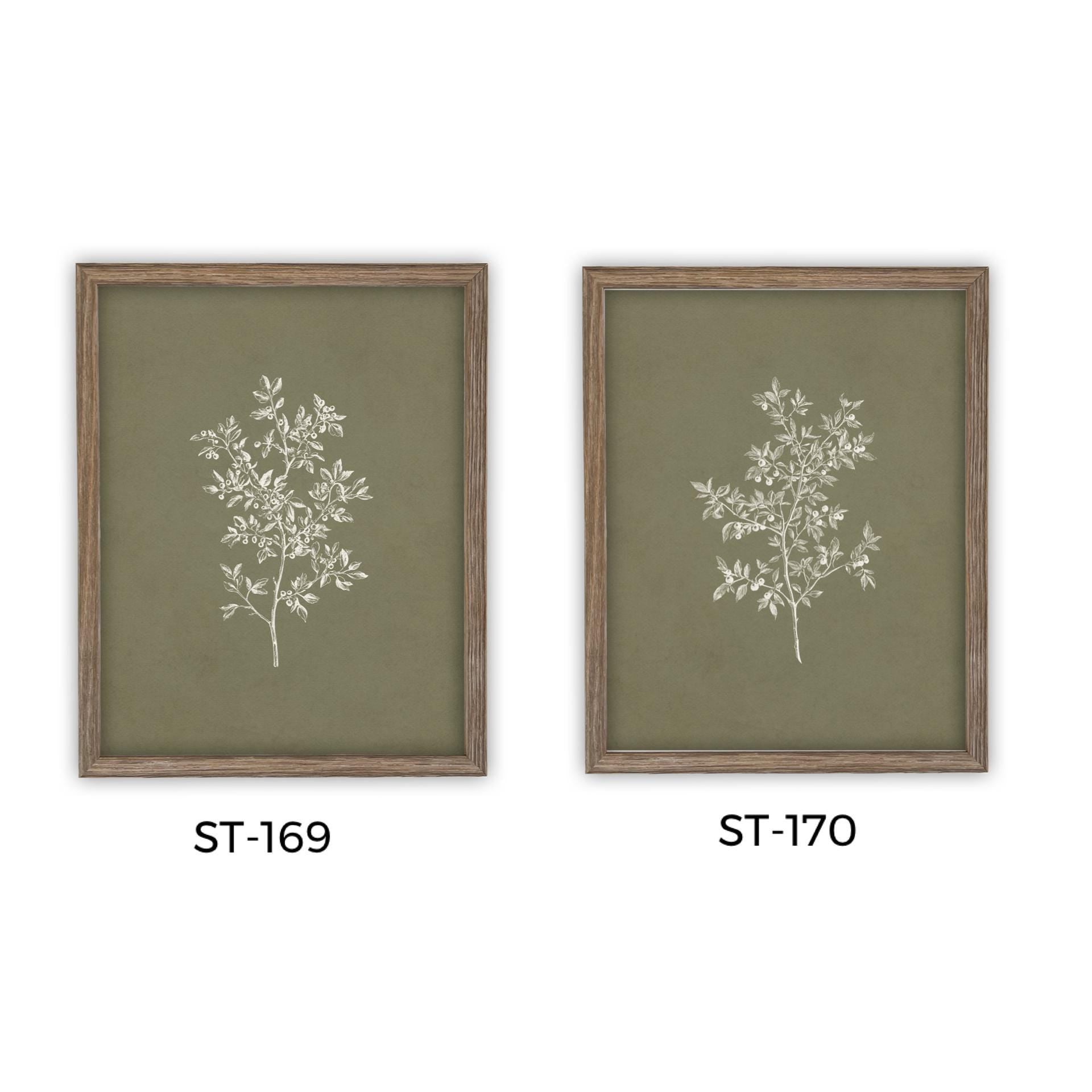 Framed Vintage Botanical Sketch Print: Farmhouse Canvas Art #ST-169