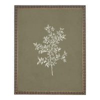 Framed Vintage Botanical Sketch Print: Farmhouse Canvas Art #ST-170