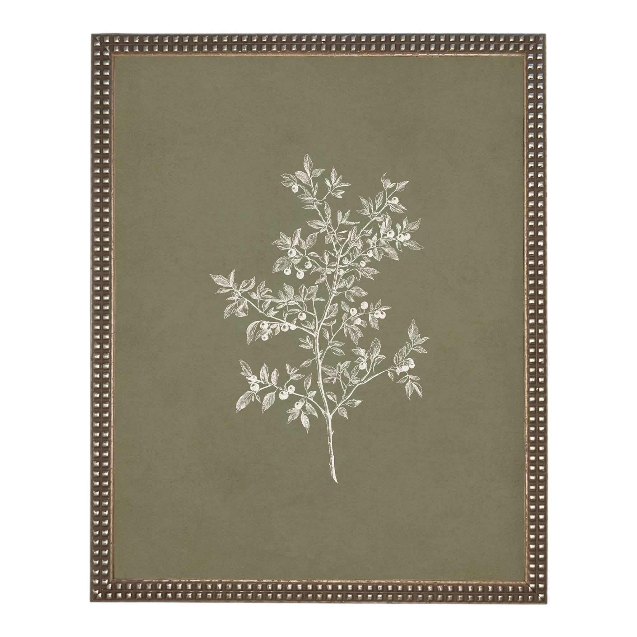 Framed Vintage Botanical Sketch Print: Farmhouse Canvas Art #ST-170