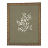 Framed Vintage Botanical Sketch Print: Farmhouse Canvas Art #ST-170