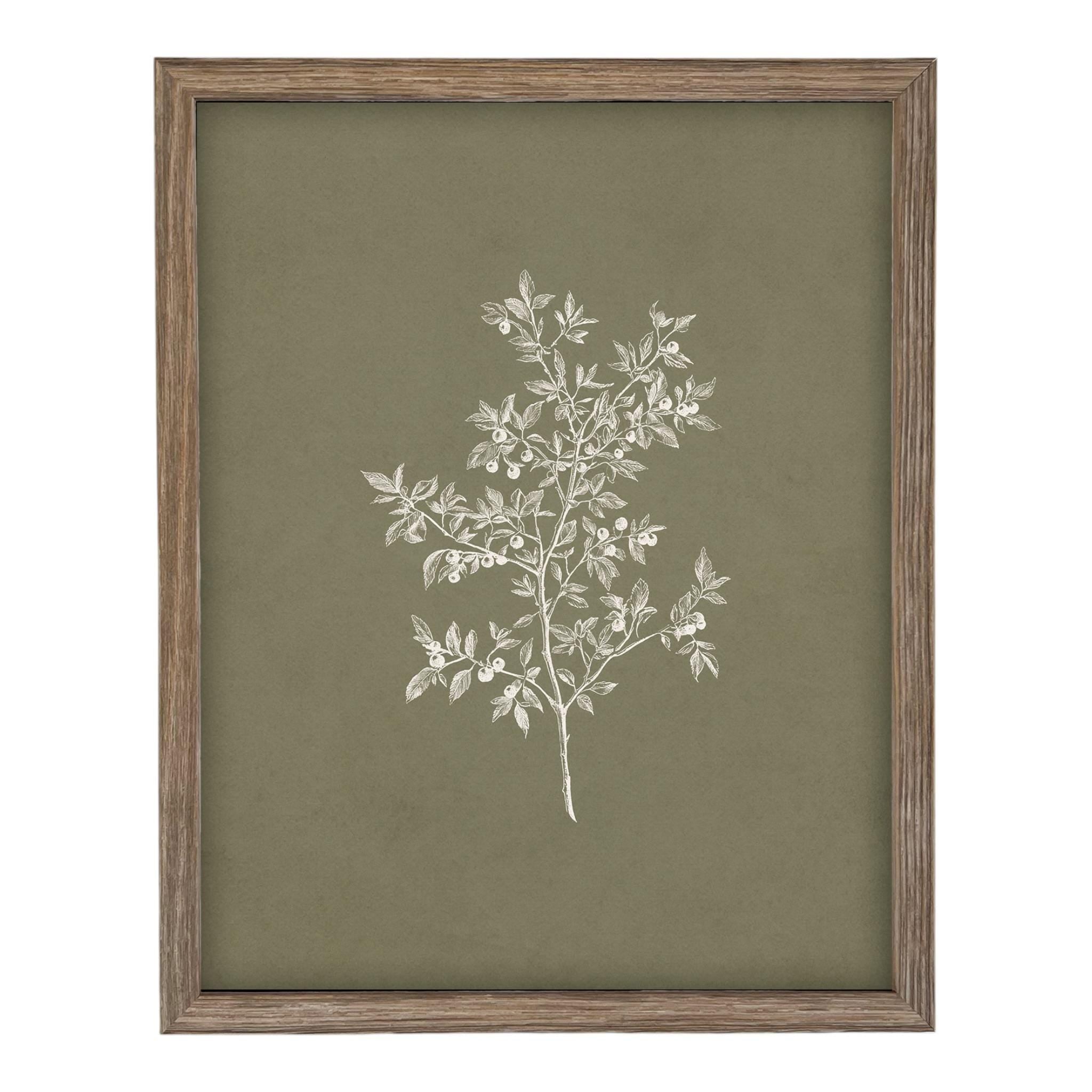 Framed Vintage Botanical Sketch Print: Farmhouse Canvas Art #ST-170