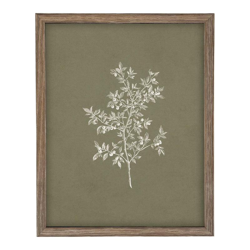 Framed Vintage Botanical Sketch Print: Farmhouse Canvas Art #ST-170