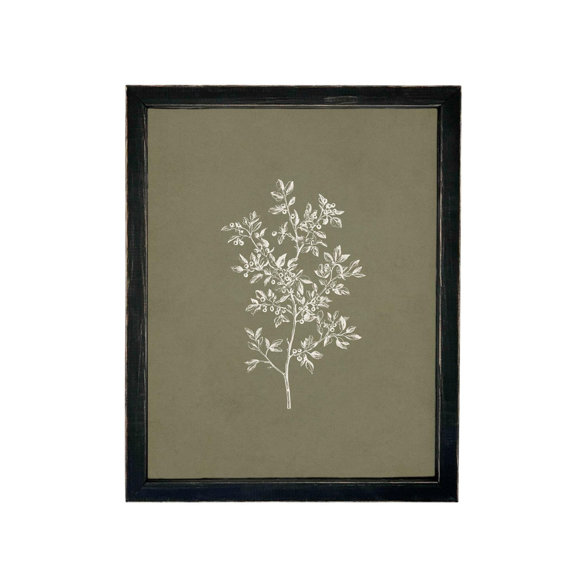 Framed Vintage Botanical Sketch Print: Farmhouse Canvas Art #ST-169