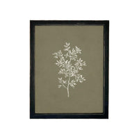 Framed Vintage Botanical Sketch Print: Farmhouse Canvas Art #ST-169