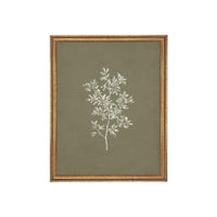 Framed Vintage Botanical Sketch Print: Farmhouse Canvas Art #ST-169